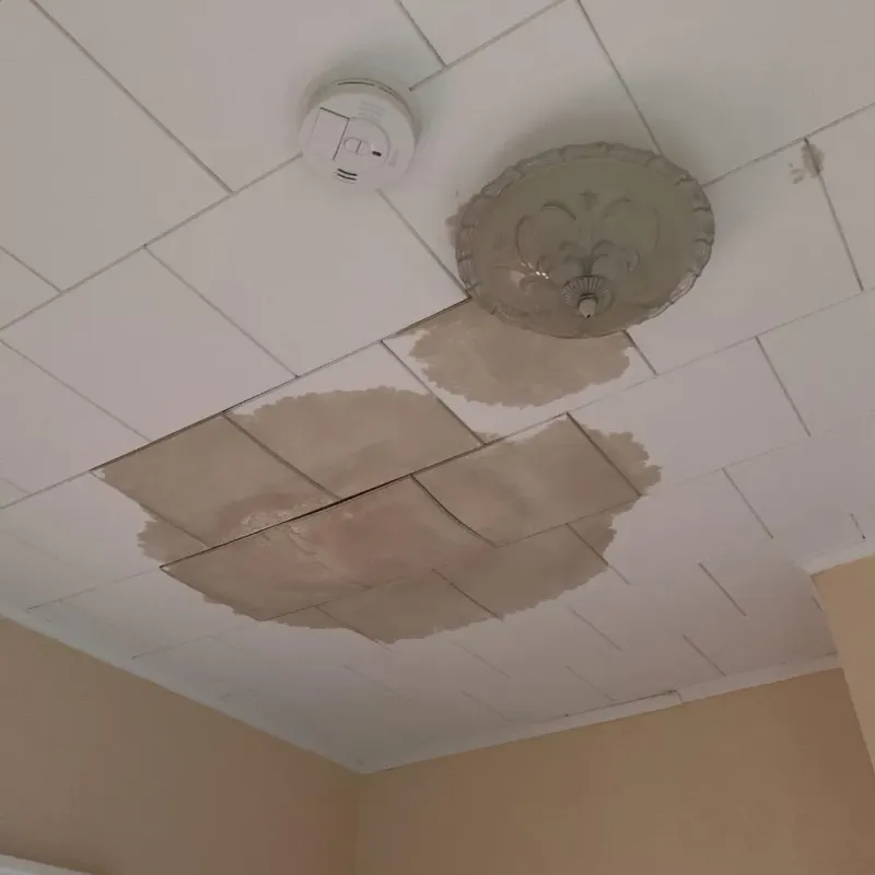 Ceiling Water Damage Repair in Reading, PA